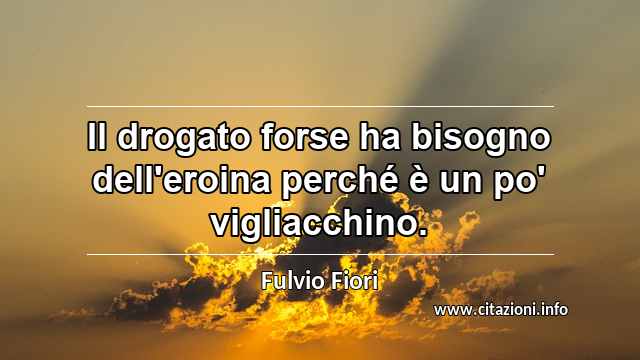 “Il drogato forse ha bisogno dell'eroina perché è un po' vigliacchino.”