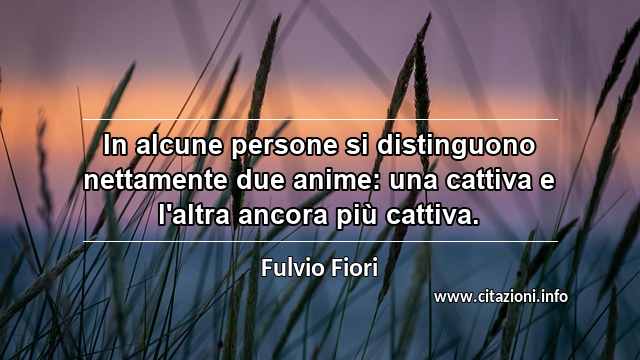 “In alcune persone si distinguono nettamente due anime: una cattiva e l'altra ancora più cattiva.”