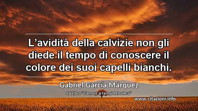 “L’avidità della calvizie non gli diede il tempo di conoscere il colore dei suoi capelli bianchi.”