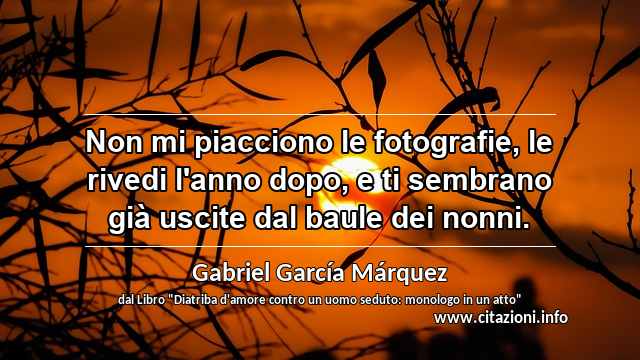 “Non mi piacciono le fotografie, le rivedi l'anno dopo, e ti sembrano già uscite dal baule dei nonni.”