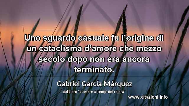 “Uno sguardo casuale fu l’origine di un cataclisma d’amore che mezzo secolo dopo non era ancora terminato.”