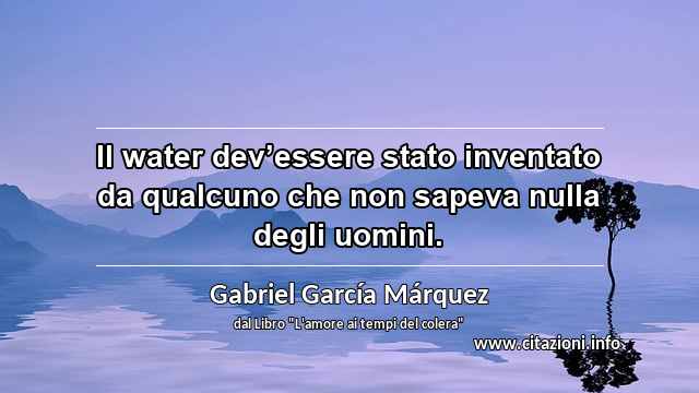 “Il water dev’essere stato inventato da qualcuno che non sapeva nulla degli uomini.”