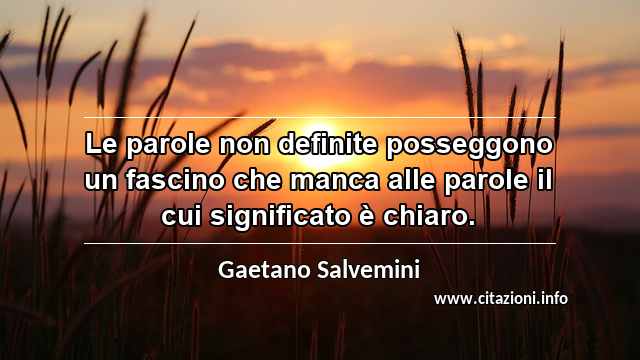 “Le parole non definite posseggono un fascino che manca alle parole il cui significato è chiaro.”