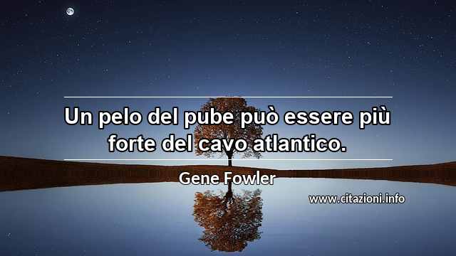 “Un pelo del pube può essere più forte del cavo atlantico.”