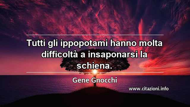“Tutti gli ippopotami hanno molta difficoltà a insaponarsi la schiena.”
