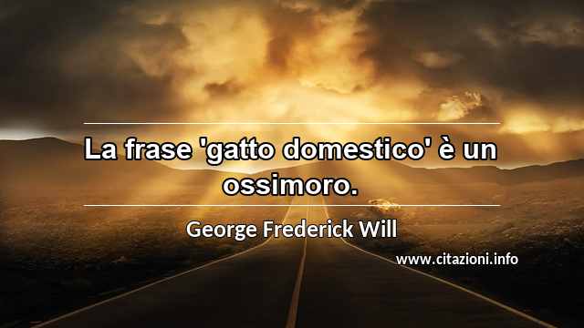 “La frase 'gatto domestico' è un ossimoro.”