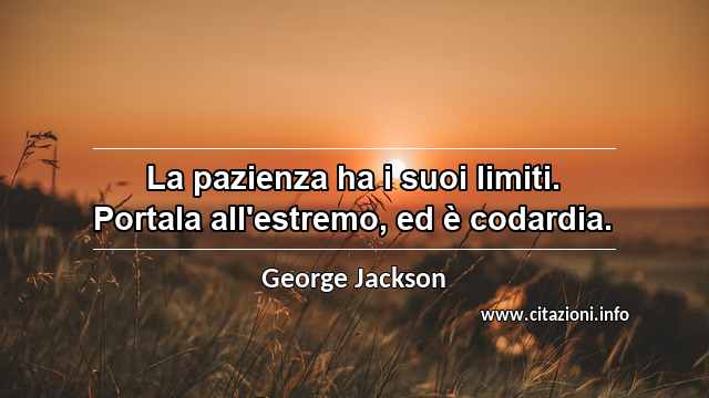 “La pazienza ha i suoi limiti. Portala all'estremo, ed è codardia.”
