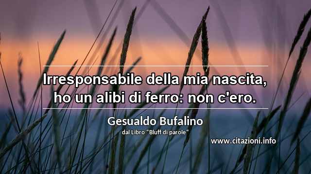 “Irresponsabile della mia nascita, ho un alibi di ferro: non c'ero.”