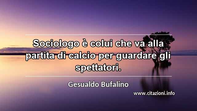 “Sociologo è colui che va alla partita di calcio per guardare gli spettatori.”
