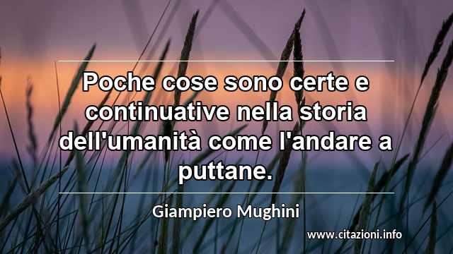 “Poche cose sono certe e continuative nella storia dell'umanità come l'andare a puttane.”