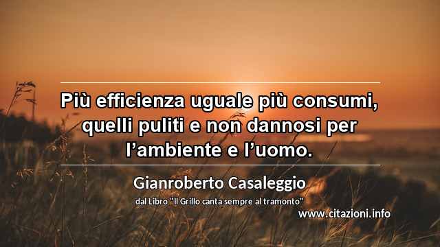 “Più efficienza uguale più consumi, quelli puliti e non dannosi per l’ambiente e l’uomo.”