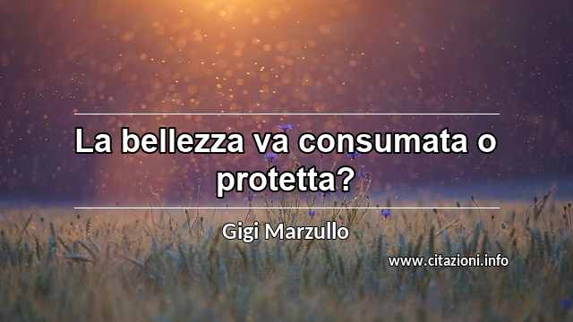 “La bellezza va consumata o protetta?”