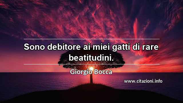 “Sono debitore ai miei gatti di rare beatitudini.”