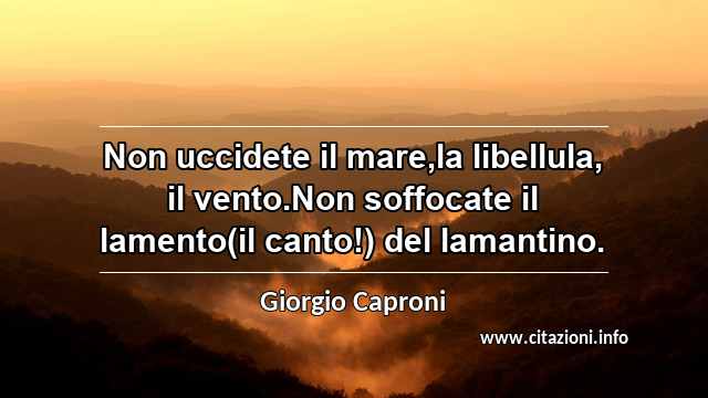 “Non uccidete il mare,la libellula, il vento.Non soffocate il lamento(il canto!) del lamantino.”