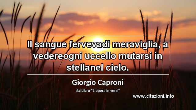 “Il sangue fervevadi meraviglia, a vedereogni uccello mutarsi in stellanel cielo.”