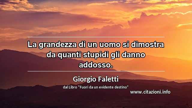 “La grandezza di un uomo si dimostra da quanti stupidi gli danno addosso.”