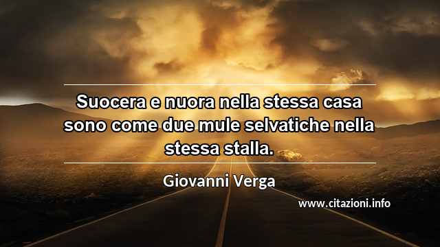 “Suocera e nuora nella stessa casa sono come due mule selvatiche nella stessa stalla.”