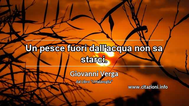 “Un pesce fuori dall'acqua non sa starci.”