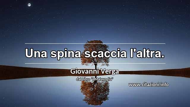 “Una spina scaccia l'altra.”