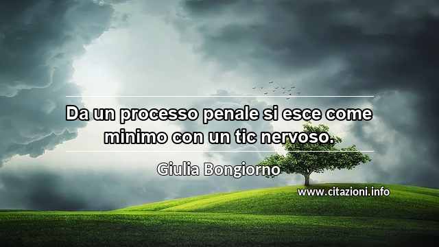 “Da un processo penale si esce come minimo con un tic nervoso.”