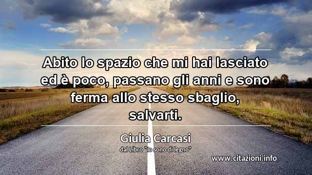 “Abito lo spazio che mi hai lasciato ed è poco, passano gli anni e sono ferma allo stesso sbaglio, salvarti.”