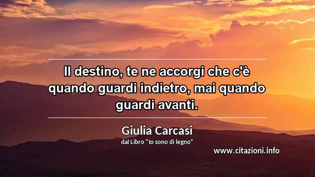 “Il destino, te ne accorgi che c'è quando guardi indietro, mai quando guardi avanti.”