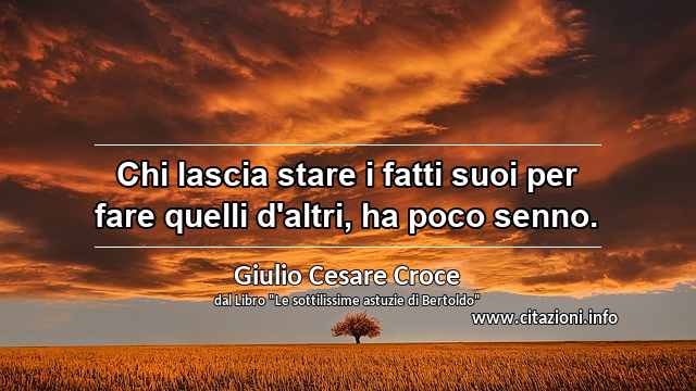 “Chi lascia stare i fatti suoi per fare quelli d'altri, ha poco senno.”