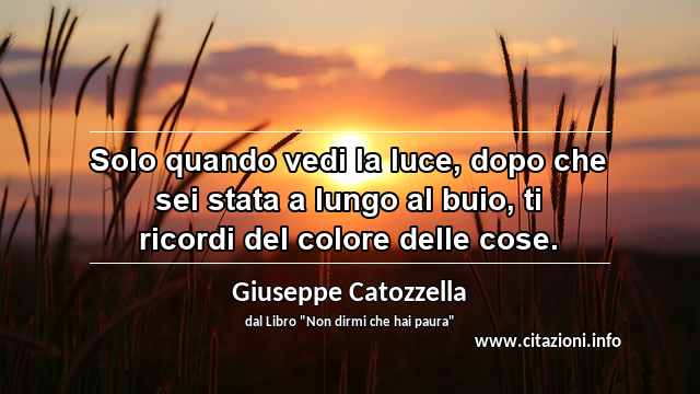 “Solo quando vedi la luce, dopo che sei stata a lungo al buio, ti ricordi del colore delle cose.”