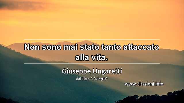 “Non sono mai stato tanto attaccato alla vita.”