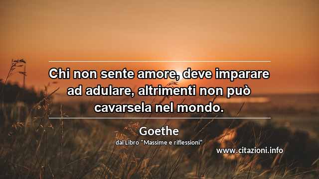 “Chi non sente amore, deve imparare ad adulare, altrimenti non può cavarsela nel mondo.”