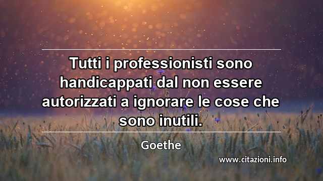“Tutti i professionisti sono handicappati dal non essere autorizzati a ignorare le cose che sono inutili.”