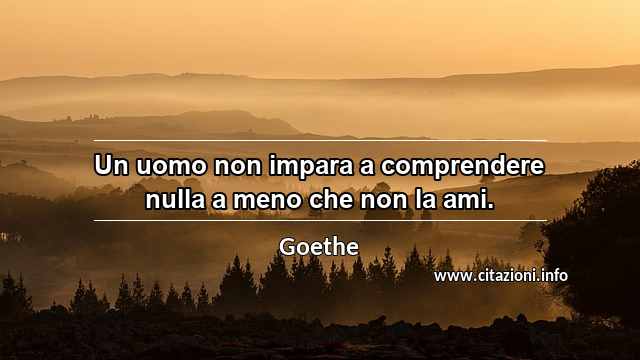 “Un uomo non impara a comprendere nulla a meno che non la ami.”