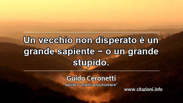 “Un vecchio non disperato è un grande sapiente − o un grande stupido.”