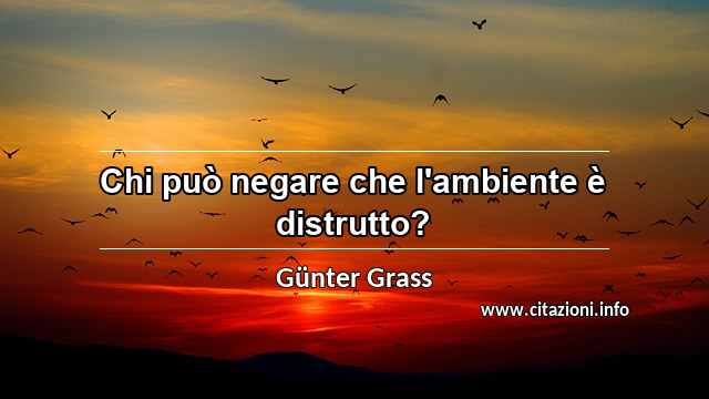“Chi può negare che l'ambiente è distrutto?”