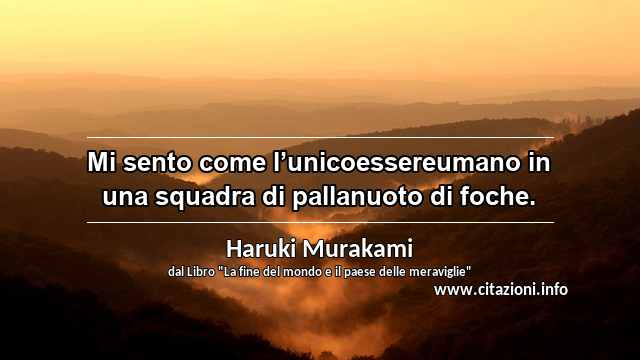 “Mi sento come l’unicoessereumano in una squadra di pallanuoto di foche.”