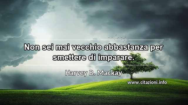 “Non sei mai vecchio abbastanza per smettere di imparare.”
