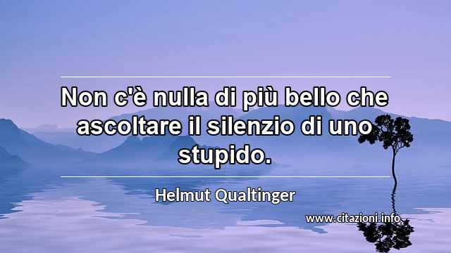 “Non c'è nulla di più bello che ascoltare il silenzio di uno stupido.”