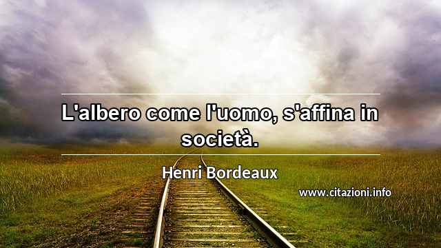 “L'albero come l'uomo, s'affina in società.”