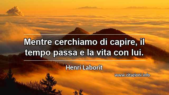 “Mentre cerchiamo di capire, il tempo passa e la vita con lui.”