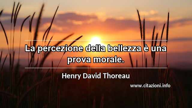 “La percezione della bellezza è una prova morale.”