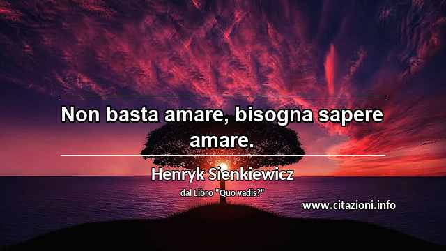 “Non basta amare, bisogna sapere amare.”