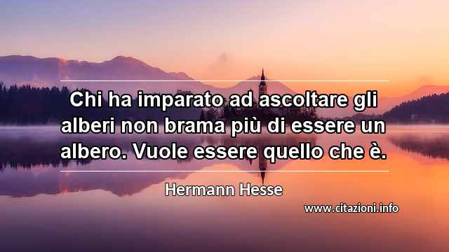 “Chi ha imparato ad ascoltare gli alberi non brama più di essere un albero. Vuole essere quello che è.”