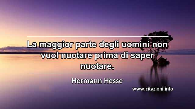 “La maggior parte degli uomini non vuol nuotare prima di saper nuotare.”