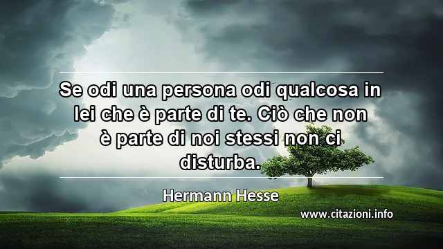 “Se odi una persona odi qualcosa in lei che è parte di te. Ciò che non è parte di noi stessi non ci disturba.”