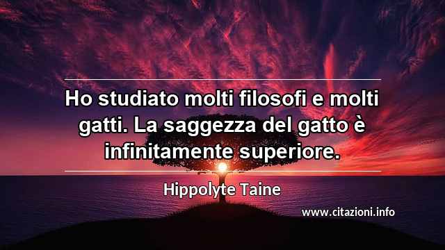 “Ho studiato molti filosofi e molti gatti. La saggezza del gatto è infinitamente superiore.”