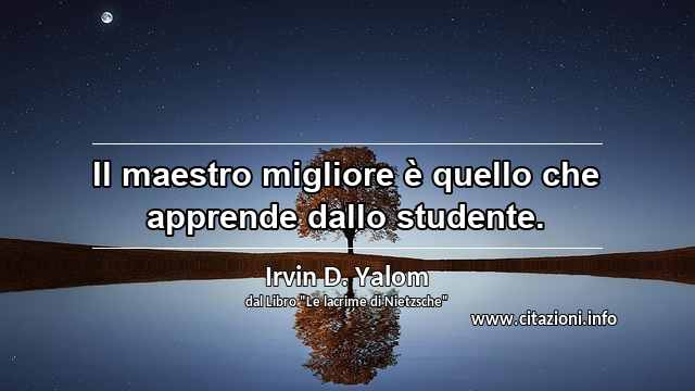 “Il maestro migliore è quello che apprende dallo studente.”