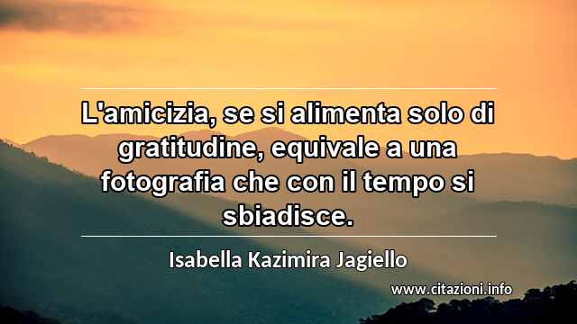 “L'amicizia, se si alimenta solo di gratitudine, equivale a una fotografia che con il tempo si sbiadisce.”