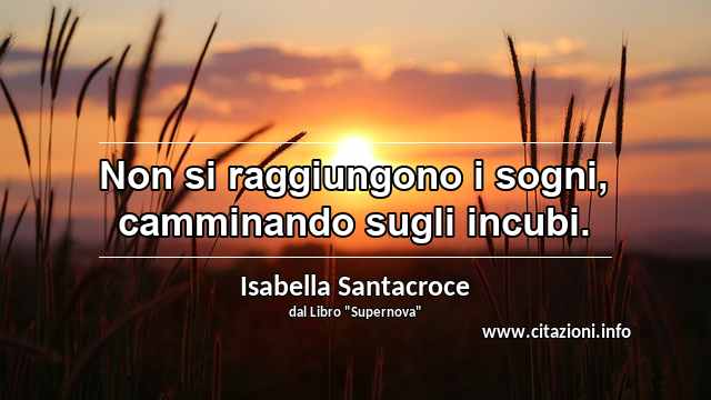 “Non si raggiungono i sogni, camminando sugli incubi.”