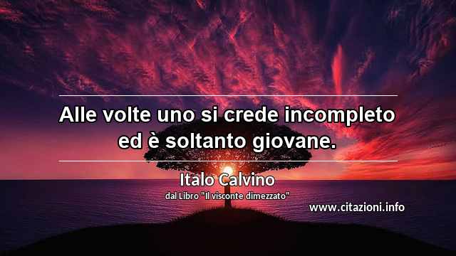 “Alle volte uno si crede incompleto ed è soltanto giovane.”