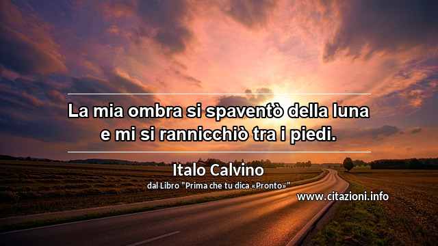 “La mia ombra si spaventò della luna e mi si rannicchiò tra i piedi.”